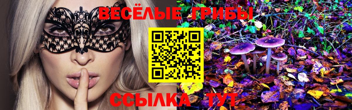 Ревда  Псилоцибиновые грибы прущие грибы  Псилоцибиновые грибы Magic Shrooms  Вход с VPN 